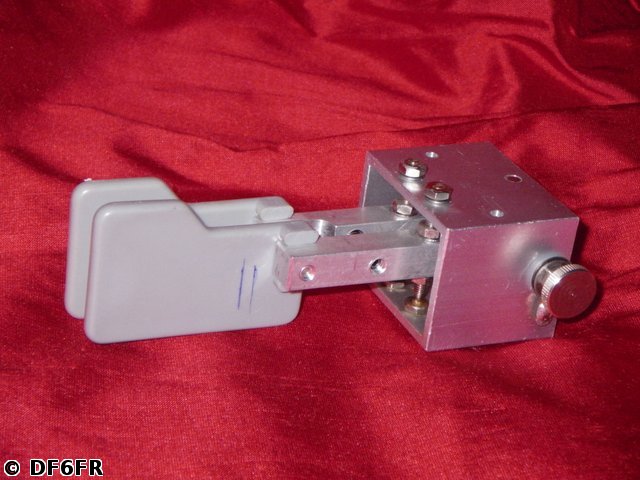 IMGP6231